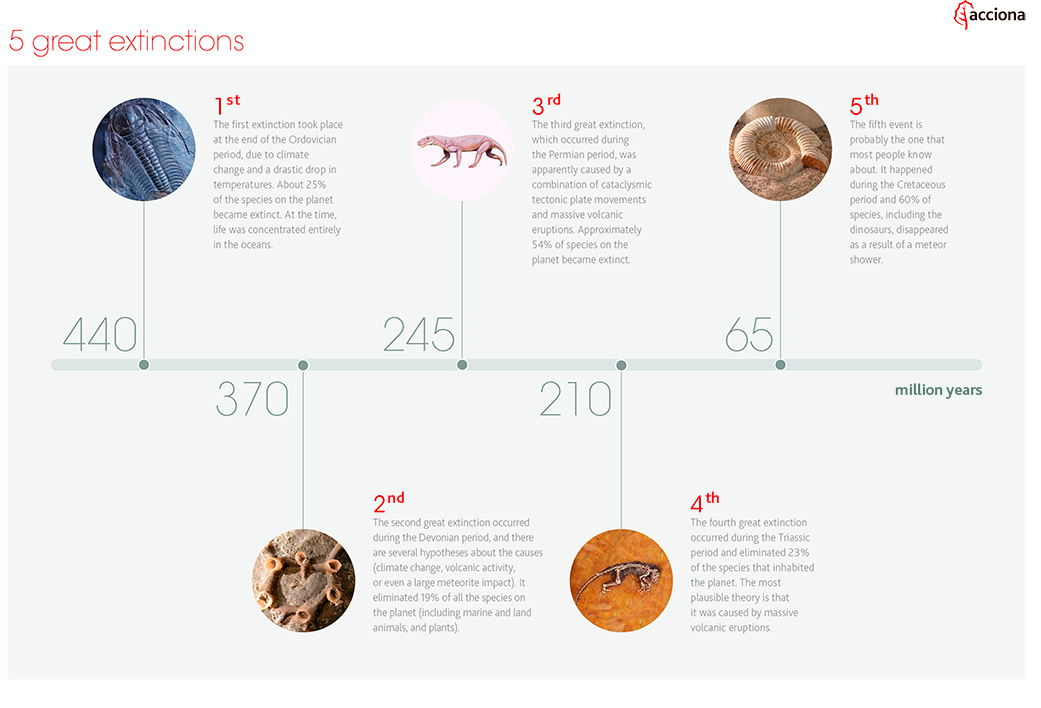Are we facing the Sixth Mass Extinction?