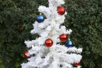 Reutilise it for at least 12 years Reutilise it for at least 12 years