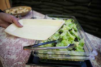 Palm leaf plates Palm leaf plates