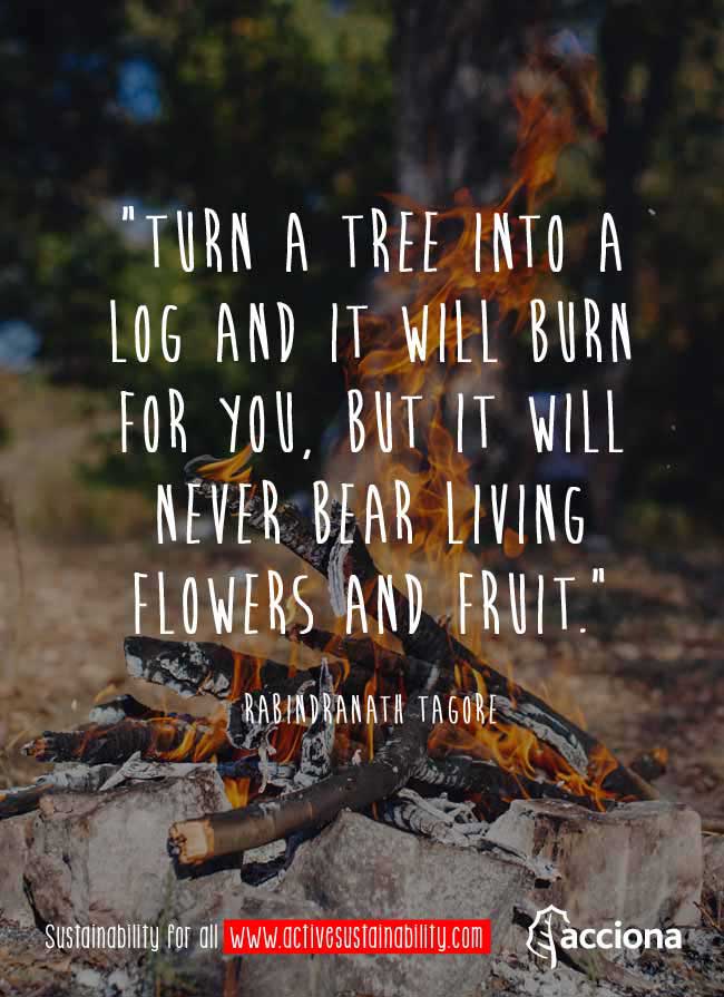 Rabindranath Tagore and the trees Rabindranath Tagore and the trees