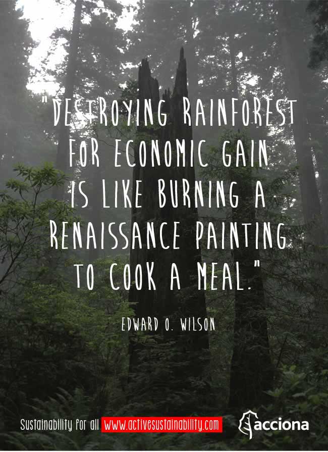 Edward O. Wilson and rainforest Edward O. Wilson and rainforest