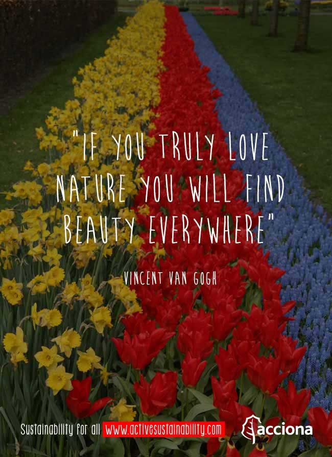 Van Gogh and nature Van Gogh and nature