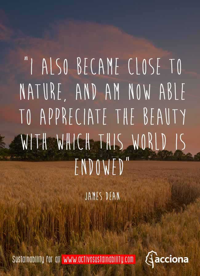 James Dean and the beauty of the world James Dean and the beauty of the world