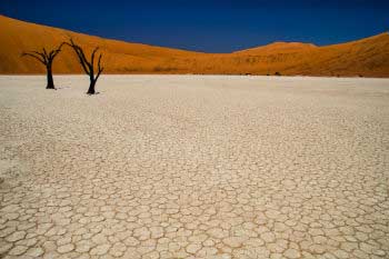 World Day to Combat Desertification and Drought World Day to Combat Desertification and Drought