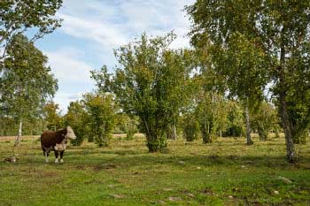 We have to protect and preserve natural, landscape and cultural resources We have to protect and preserve natural, landscape and cultural resources