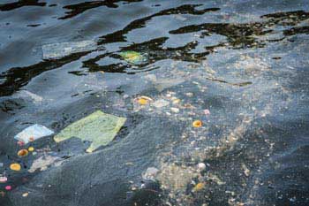 The ocean currents accumulate garbage in certain areas The ocean currents accumulate garbage in certain areas