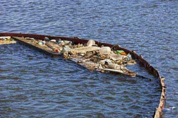 The threat of microplastics The threat of microplastics