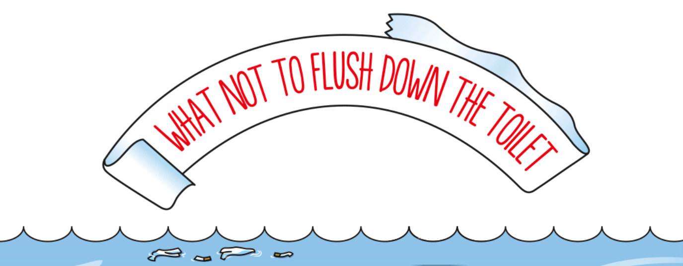 can you flush cigarette ashes down the toilet What not to flush down the toilet
