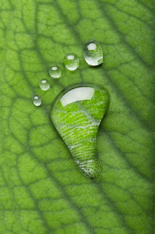 Calculate your water footprint