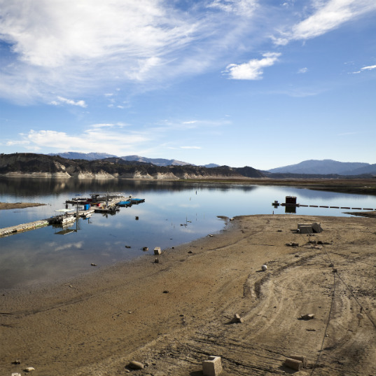 Causes and consequences of overpopulation