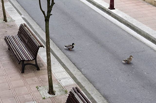 fotos desde balcon confinamiento coronavirus