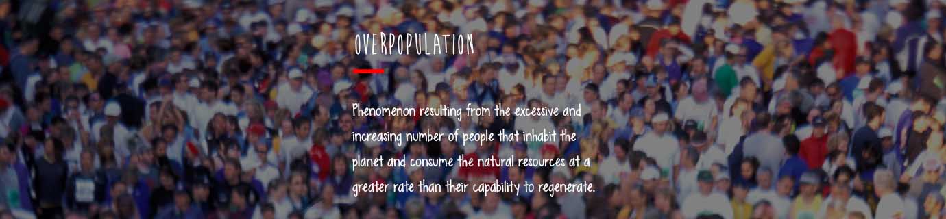 consequences of human overpopulation
